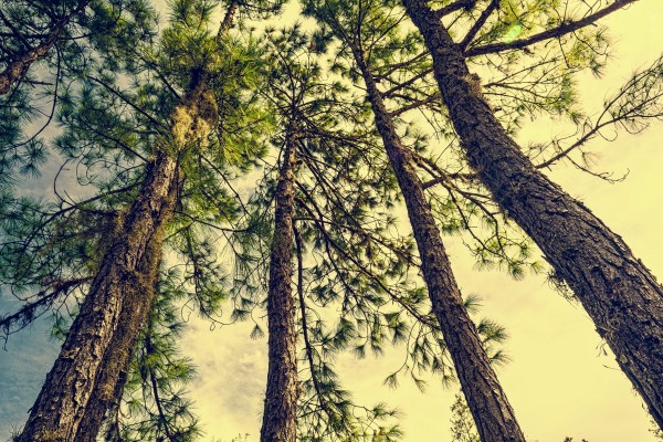 DSC 0005 by SonicSkylineMedia