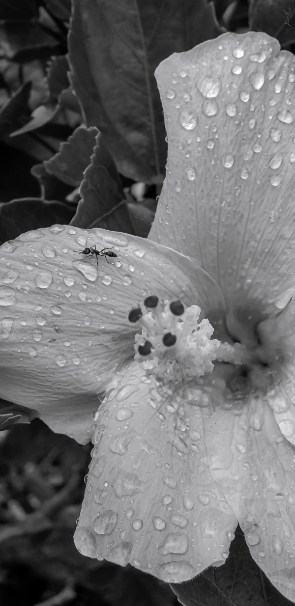 Land 10 by SonicSkylineMedia