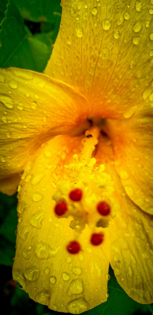 Land 11 by SonicSkylineMedia