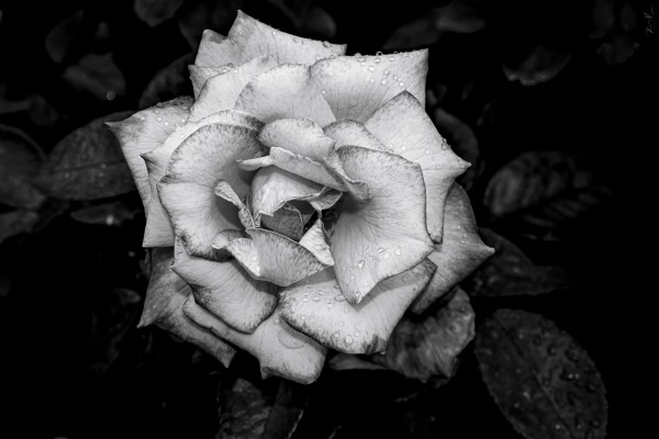 Land 8 by SonicSkylineMedia