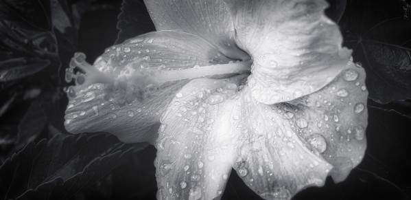 Land 9 by SonicSkylineMedia