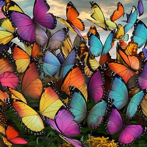 a mesmerizing array of butterflies with vibrant h