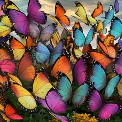 a mesmerizing array of butterflies with vibrant h