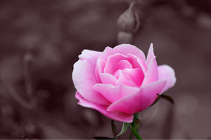 Just For You