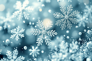 Winter s Grace