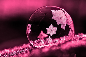 Pink Freeze
