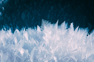 Frost Feathers