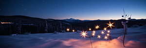 Starlight Snow