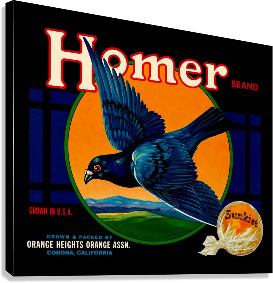 Homer Canvas Print