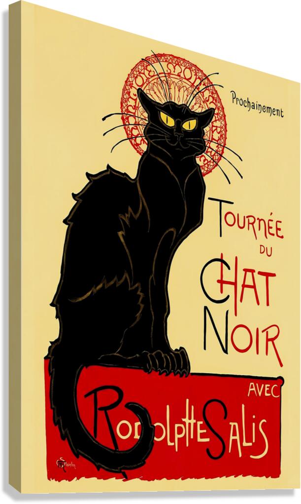 Chat Noir Canvas Print