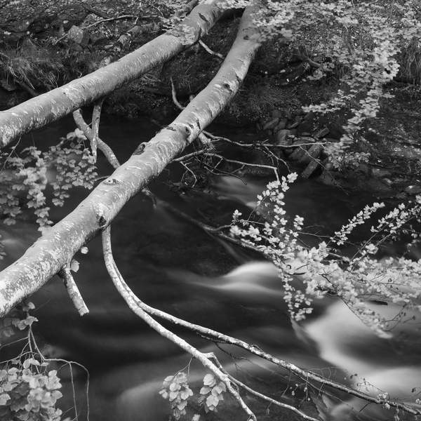 BAIAS RIVER II by Mikel Bilbao Photography