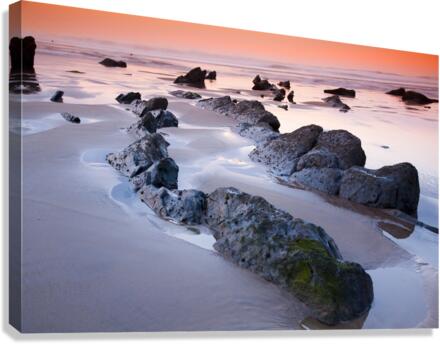 Barrika beach Canvas Print