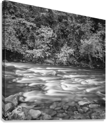 ASON RIVER Canvas Print