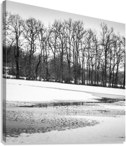 WINTER VIEW III Canvas Print