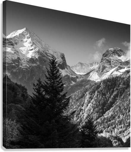 PYRENEES Canvas Print
