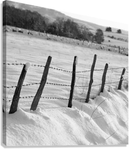 WINTER VIEW Canvas Print
