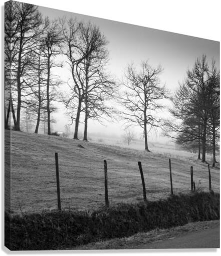 MEADOW Canvas Print