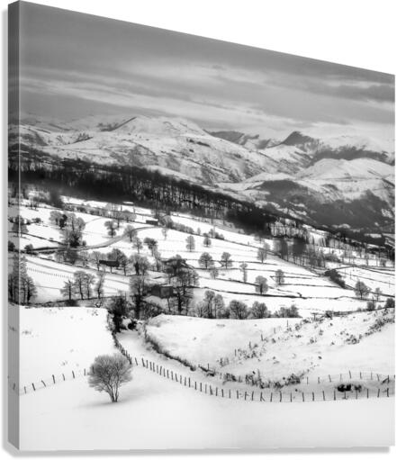 WINTER VIEW Canvas Print