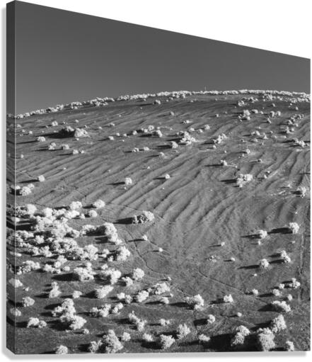 TIMANFAYA  Canvas Print