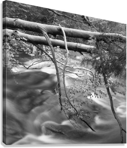 BAIAS RIVER Canvas Print