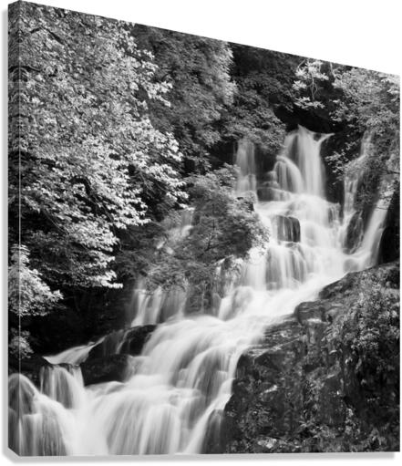 TORC WATERFALL Canvas Print