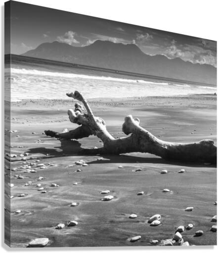STONE BEACH Canvas Print