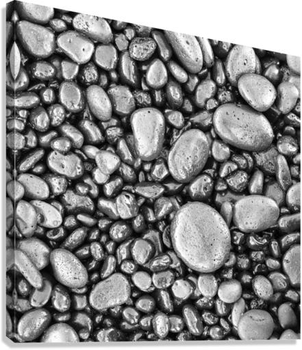 SHINGLES Canvas Print