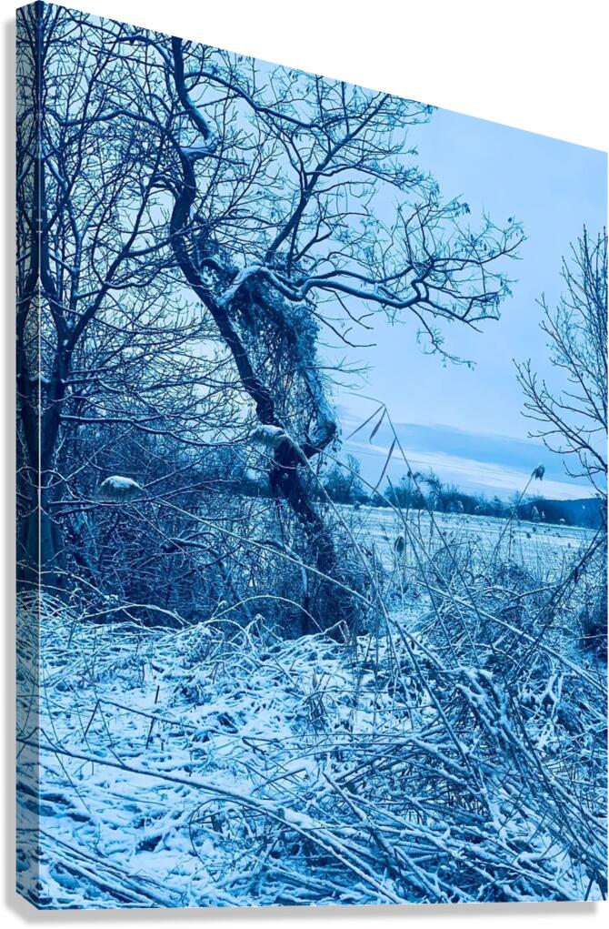 Winter Canvas Print