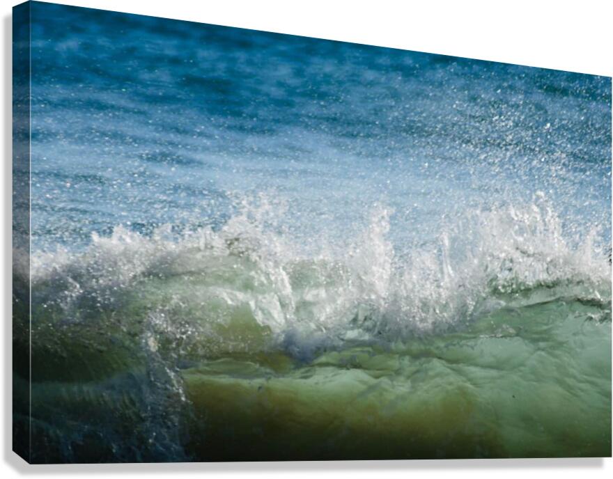 Waves Canvas Print