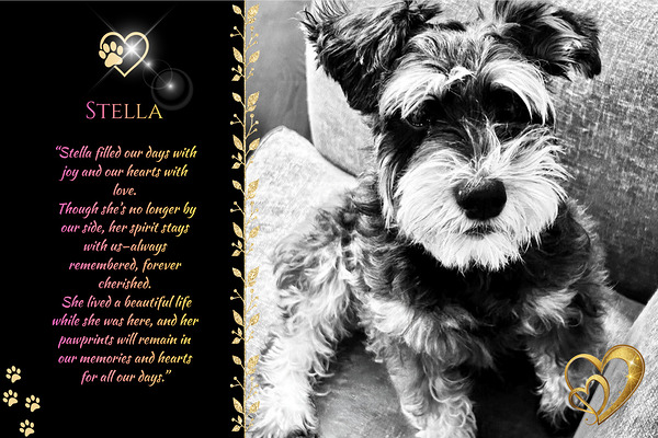 Style 69A by Timeless Tributes