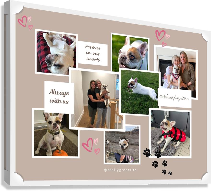 Style 17A Canvas Print