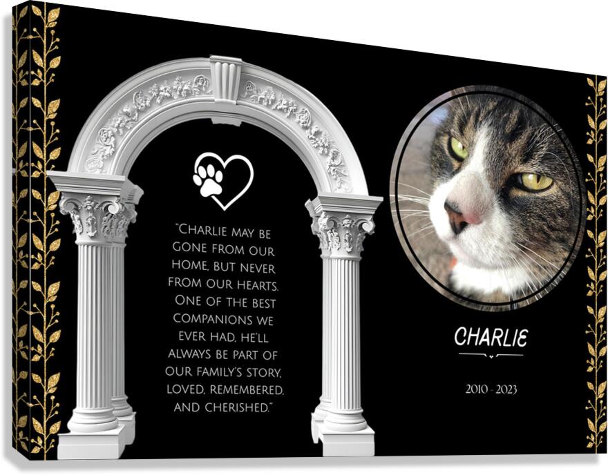 Style 47B Canvas Print
