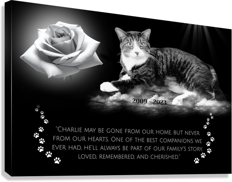 Style 58C Canvas Print