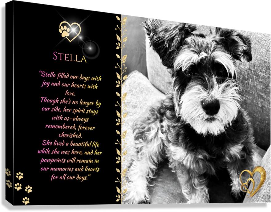 Style 69A Canvas Print
