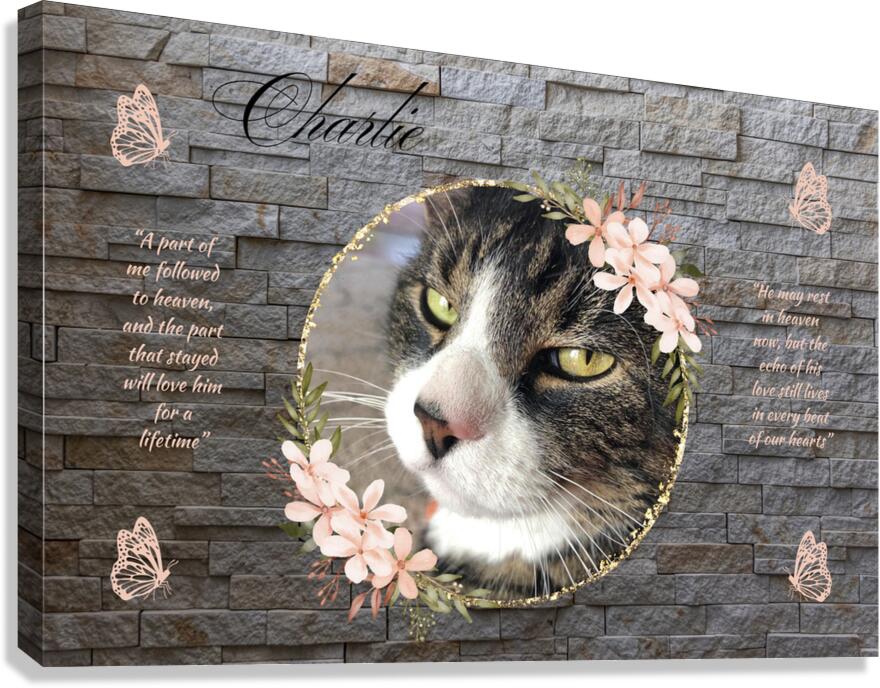 Style 74F Canvas Print