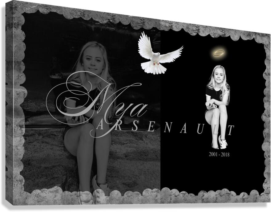 Style 86B Canvas Print