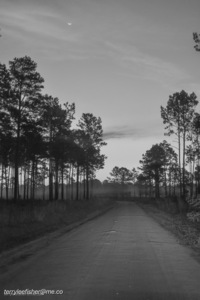 DSC 0093