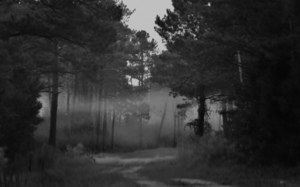 DSC 0102