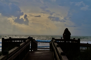 DSC 1502 SharpenAI Focus