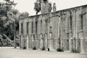 DSC 2765