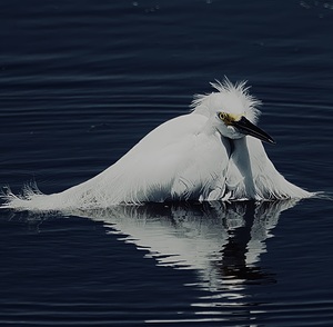 DSC 6428 topaz sharpen exposure enhance 2.3x