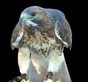 PhotoRoom 20231119 132019