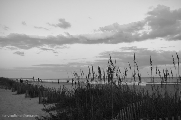 DSC 0092 Print
