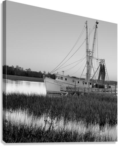 500 0563 Canvas Print