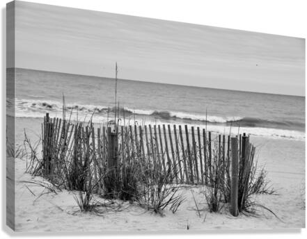 500 0635 Canvas Print