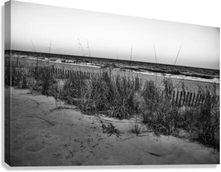500 0127 Canvas Print