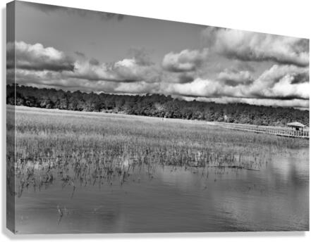 500 0198 Canvas Print