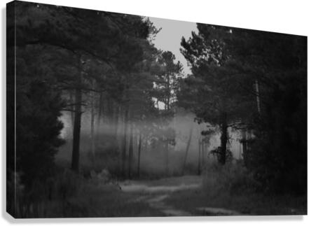 DSC 0102 Canvas Print