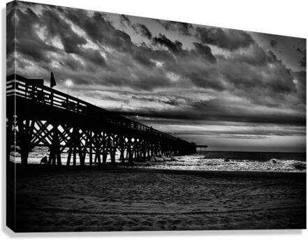 IMG 4203 Canvas Print