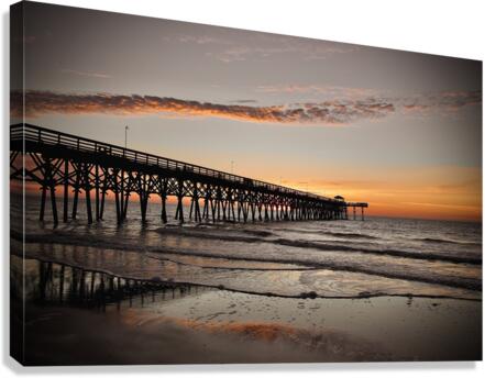 500 0556 Canvas Print